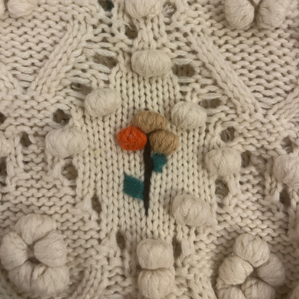 Zara Crochet Knit with Floral Appliqués Sweater - Picture 6 of 8